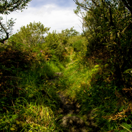 Cornwall5_psd
