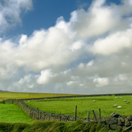 Dartmoor5