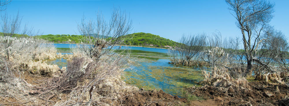 Baratz_panorama