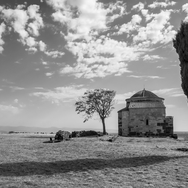 Suni_b&w
