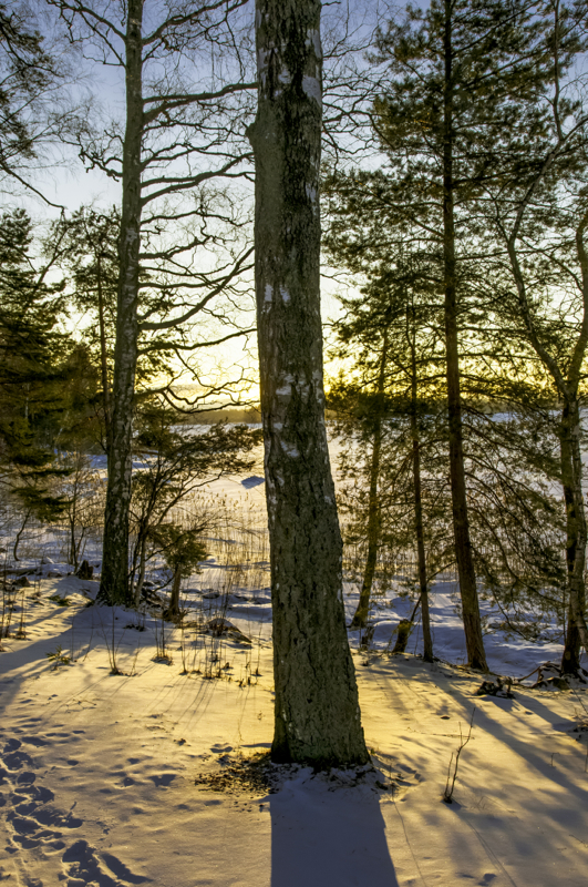 Seurasaari2012_3