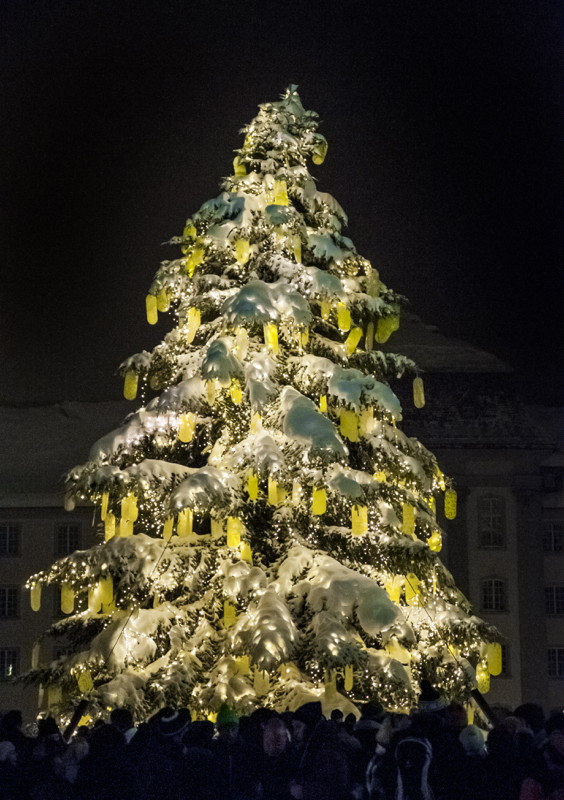 StGallen_2014_gabonak2