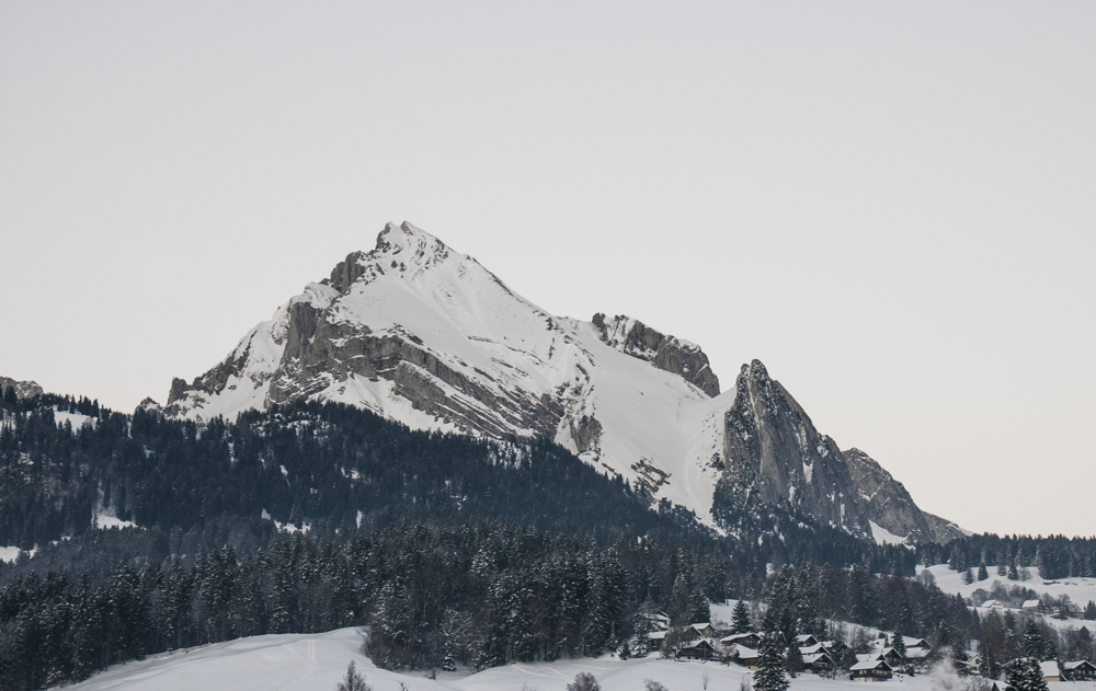 Toggenburg_Urteberri2015_2