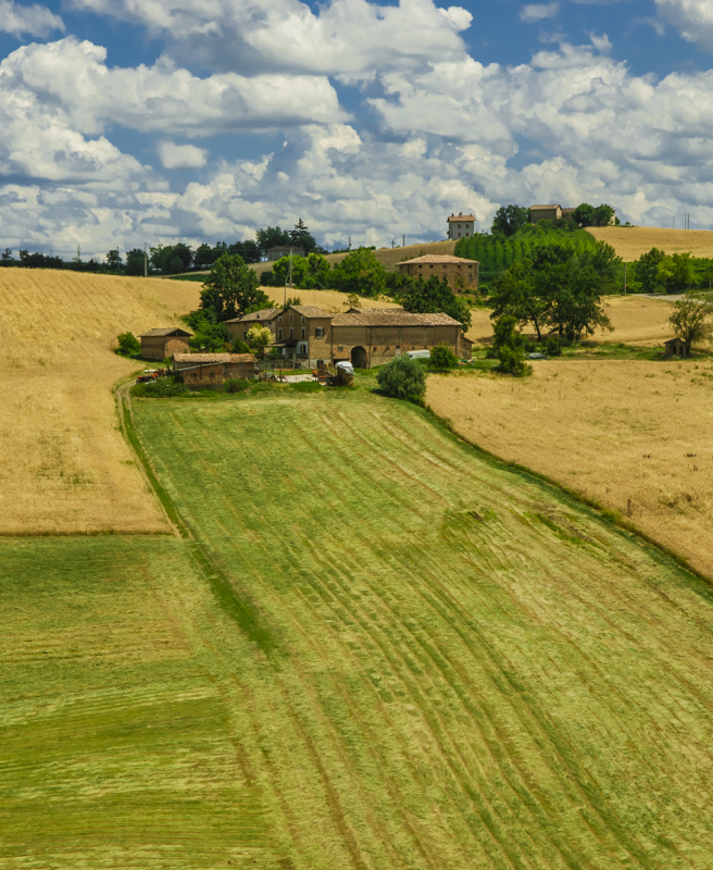 Modena