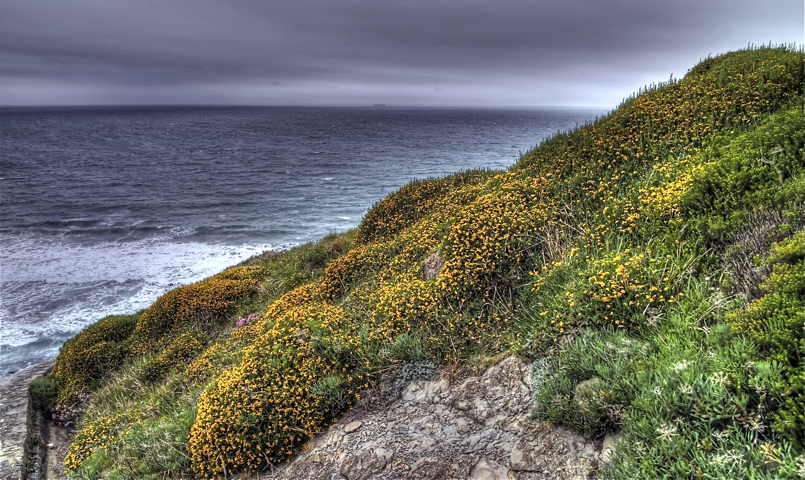 Barrika6_tonemapped