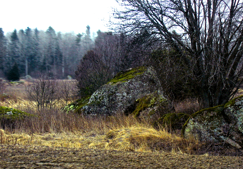 LansiRannikko