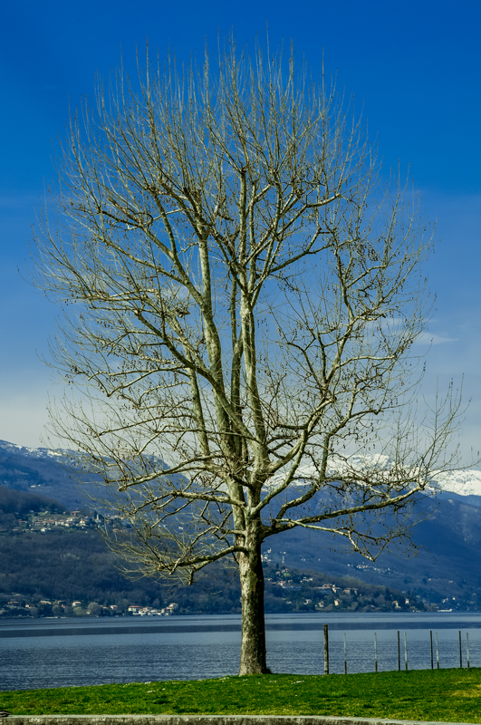 lagomaggiore2016_12