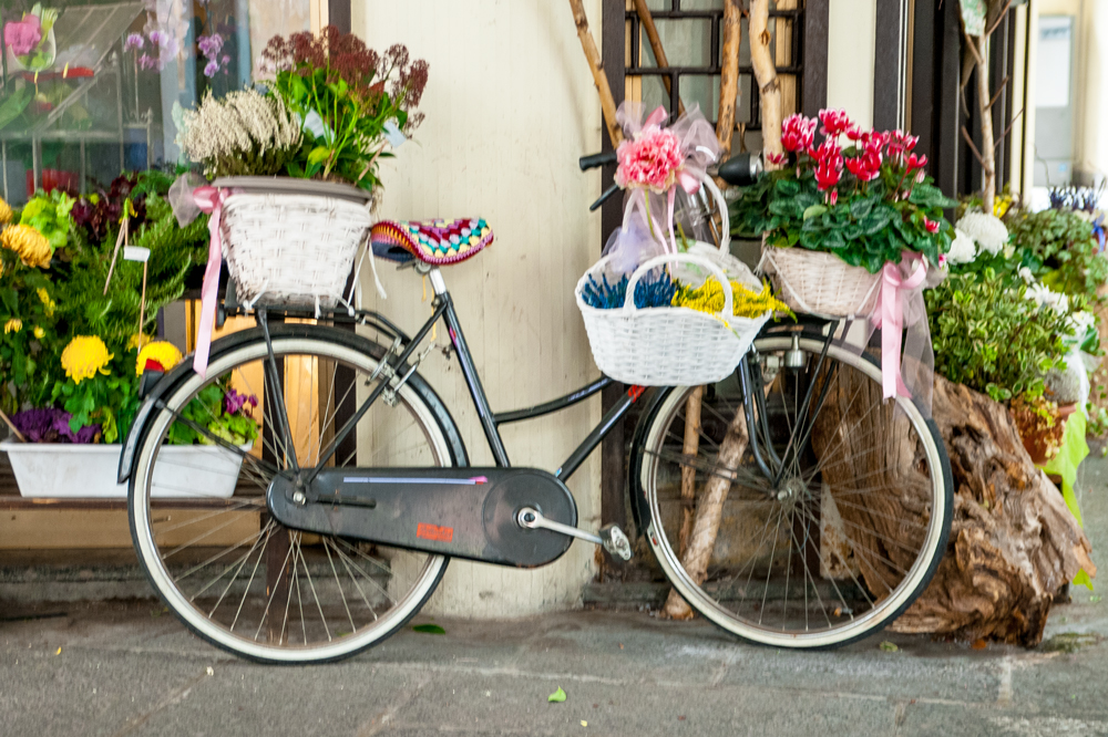 Apaindutako txirrinda bat (Decorated bicycle)