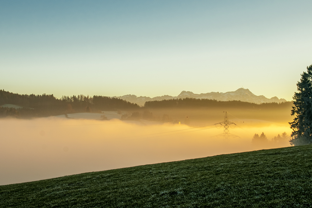 Lanbroari eguzkiak fereka (Sun caresses the fog)